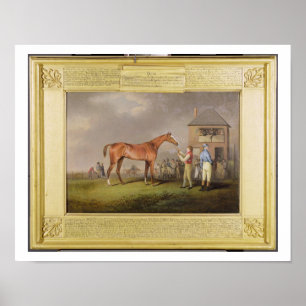 Poster Retrato de "Quiz", propriedade de Lord Rous, aft