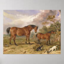 Retrato de Reformador, Blucher, Tory e Crib