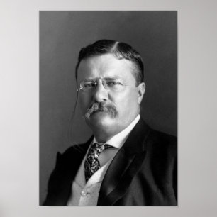 Póster Retrato de Teddy Roosevelt - 1904