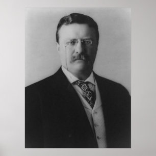 Poster Retrato de Theodore Roosevelt