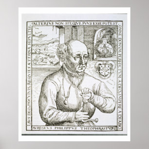 Póster Retrato de Theothrastus Paracelsus (1493-1541), c