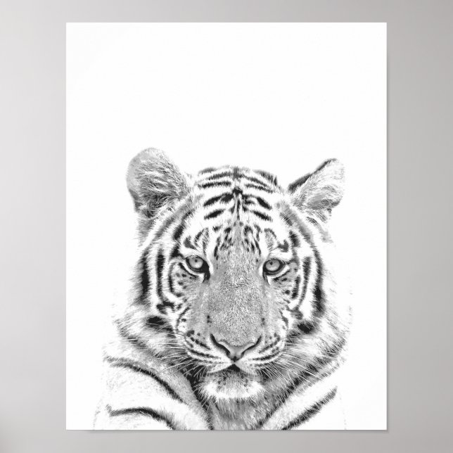 Póster Retrato de Tigre Preto e Branco (Frente)