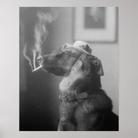 Retrato de um Cão, 1923. Foto Antiga