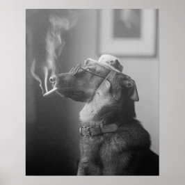Póster Retrato de um Cão, 1923. Vintage Photo
