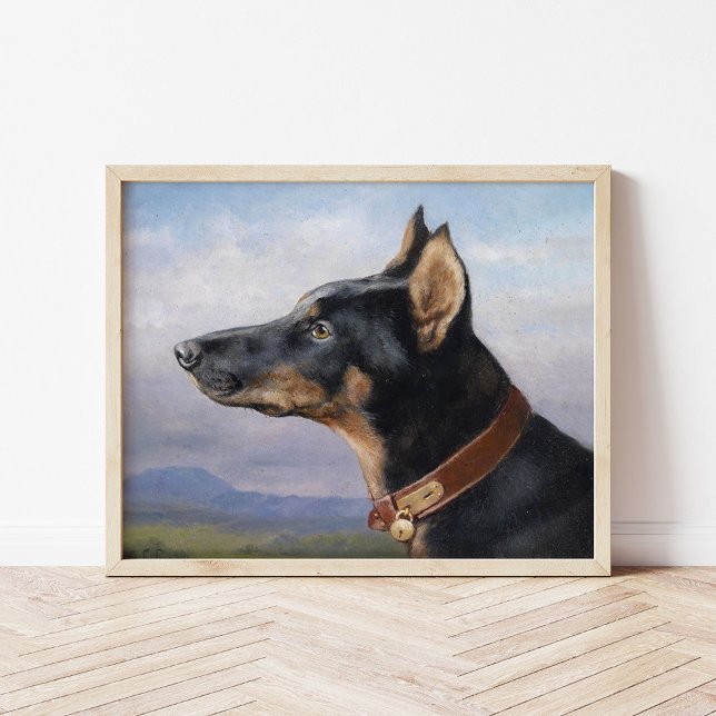 Poster Retrato de um Doberman | Carl Reichert (Criador carregado)