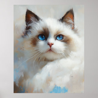 Poster Retrato de um elegante gato Ragdoll com olhos azui
