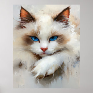 Poster Retrato de um encantador gato Ragdoll com olhos az