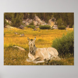Poster Retrato de um Potro Cavalo Buckskin