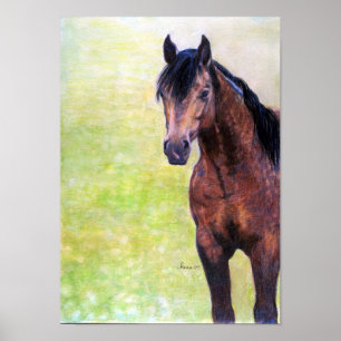 Póster Retrato de um quarto do cavalo da cabeçada do