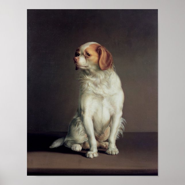 Poster Retrato de um rei Charles Spaniel (Frente)