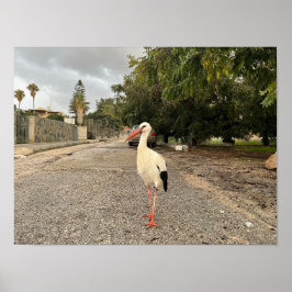 Poster Retrato de uma Tempestade