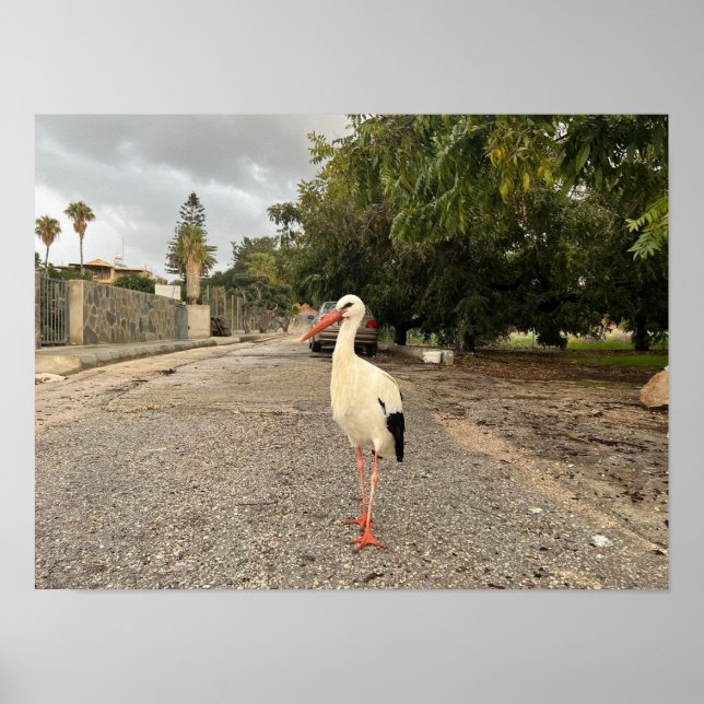 Poster Retrato de uma Tempestade (Frente)