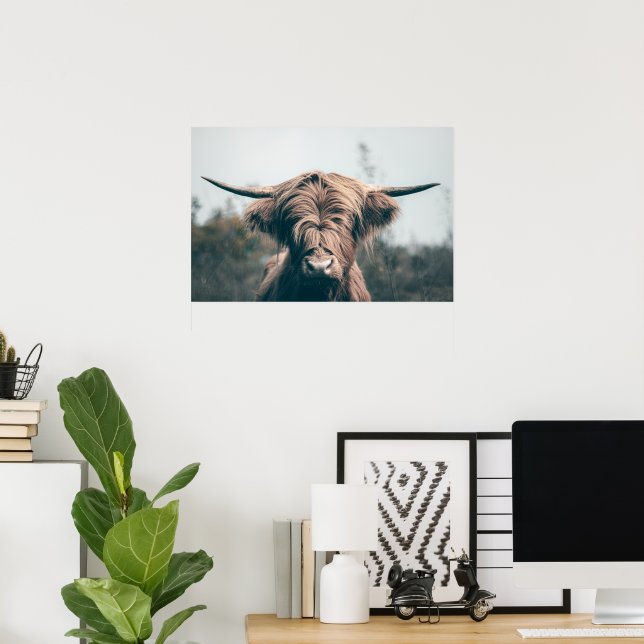 Poster Retrato de vaca das Terras Altas (Escritório em casa)