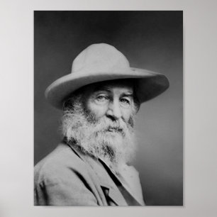 Poster Retrato de Walt Whitman
