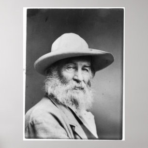 Póster Retrato de Walt Whitman a.k.a. A foto do quacre