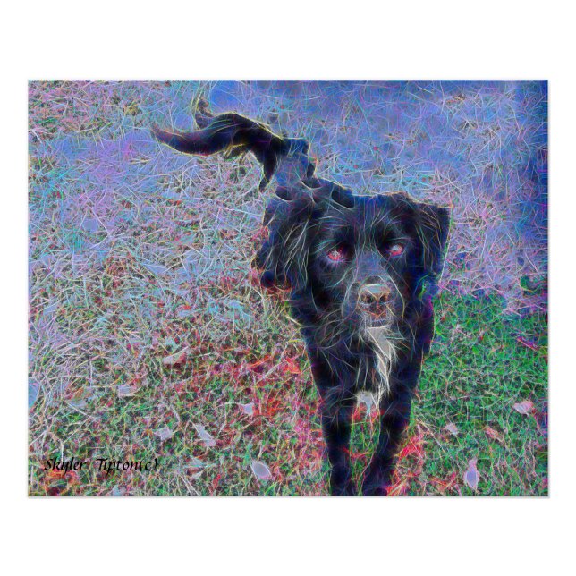 Póster Retrato digital preto-e-preto (Frente)