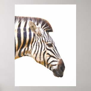 Poster Retrato do animal da selva do perfil da zebra
