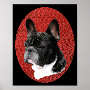 Póster Retrato do buldogue francês