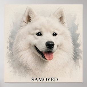 Poster Retrato do Cão Ártico Samoyed Sorridente