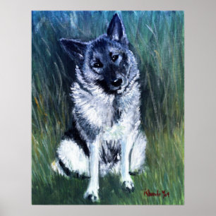 Póster Retrato do cão de Elkhound do norueguês