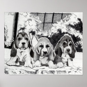 Póster Retrato do cão de filhotes de cachorro de Basset