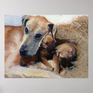 Póster Retrato do cão de great dane