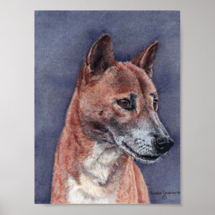 Poster Retrato do cão do canto de Nova Guiné