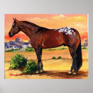Poster Retrato do cavalo do perfil do Appaloosa