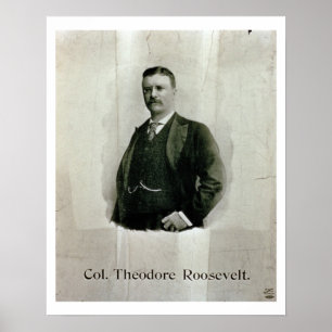 Póster Retrato do coronel Theodore Roosevelt (litho)
