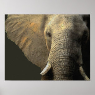 Poster Retrato do elefante