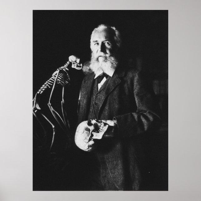 Poster Retrato do famoso biólogo alemão Ernst Haeckel (Frente)