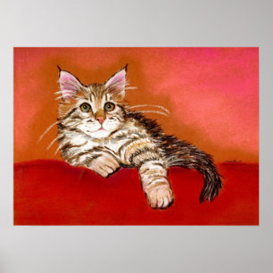 Poster Retrato do gato do gatinho do racum de Maine