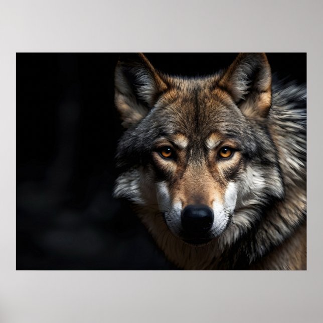 Poster Retrato do lobo (Frente)