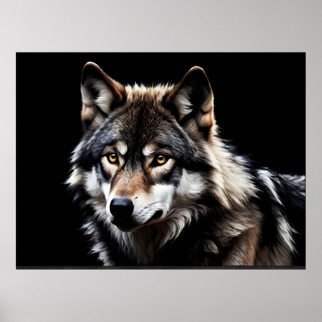 Poster Retrato do lobo (Frente)