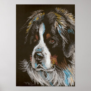 Póster Retrato do Pastel do cão de montanha de Bernese