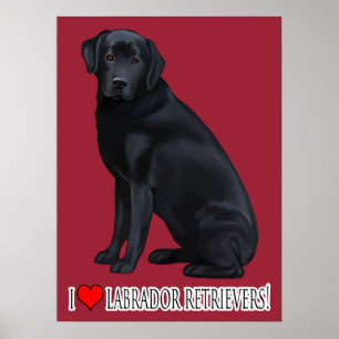 Poster Retrato do Retriever Labrador Negro