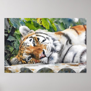 Poster Retrato do Tigre em Descolagem