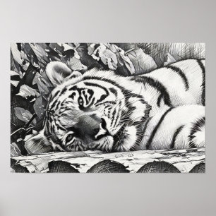 Poster Retrato do Tigre em Descolagem