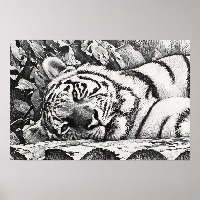 Poster Retrato do Tigre em Descolagem (Frente)