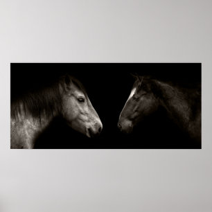 Poster Retrato dos cavalos