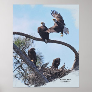 Poster Retrato E12, E13 Harriet e M15 da família de SWFL