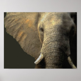 Poster Retrato Elefante
