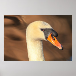 Poster Retrato Elegante da Cabeça de Cisne