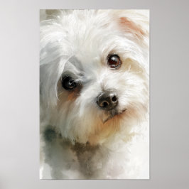 Poster retrato em aquarela de cão maltês
