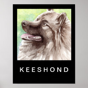 Póster Retrato em Aquarela de Keeshond