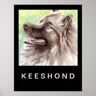 Póster Retrato em Aquarela de Keeshond