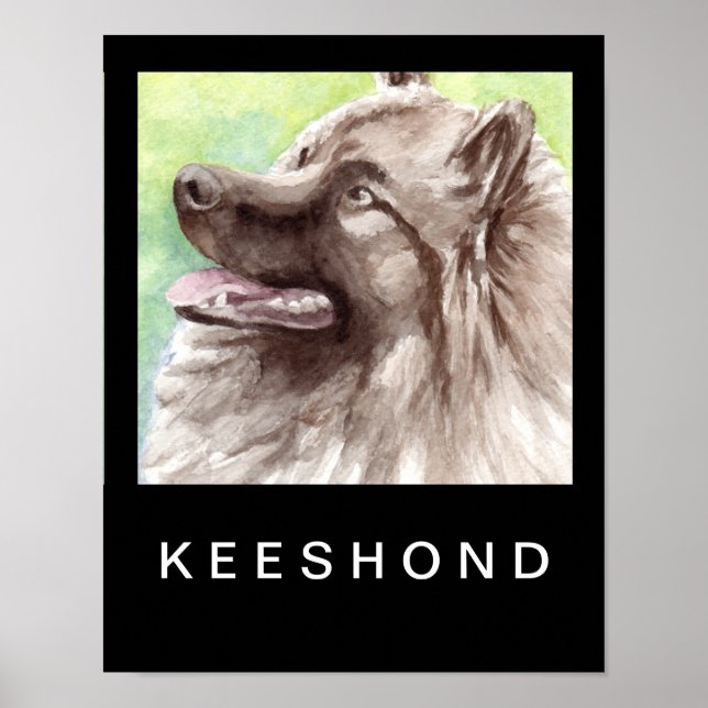 Póster Retrato em Aquarela de Keeshond (Frente)