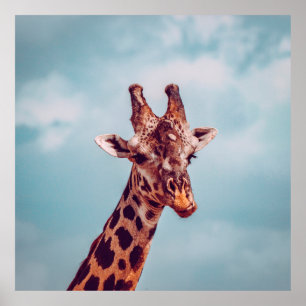 POSTER RETRATO GIRAFFE