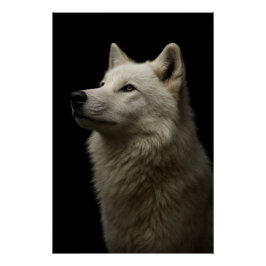 Póster Retrato Majestoso de Lobo Força & Confiança Real