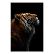 Retrato Majestoso do Tigre, Força e Confiança Real